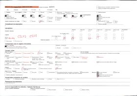 Image représentant Le chef féticheur du Serpent, prêtre au culte de Dangbé