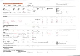 Image représentant Les rives de la lagune