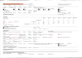 Image représentant Palmiers à huile et culture de manioc en bordure de route