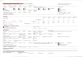 Image représentant Palmiers à huile et culture de manioc en bordure de route