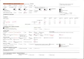 Image représentant Buste du roi Agouloyé (Nagô) et les insignes de pouvoirs