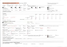 Image représentant Buste du roi Agouloyé (Nagô) et les insignes de pouvoirs