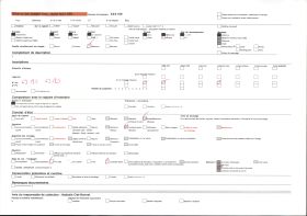 Image représentant Buste du roi Agouloyé (Nagô) et les insignes de pouvoirs
