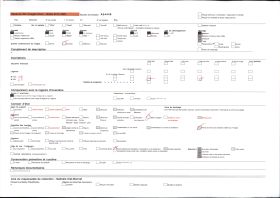 Image représentant Exposition d'art africain, masque au serpent dressé