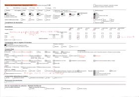Image représentant Couches géologiques d'une falaise, col de Bromes, dans les environs de Nice