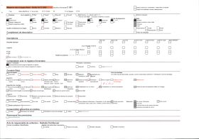 Image représentant L'église Saint-Pierre-es-Liens