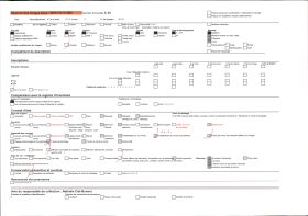 Image représentant Parterre de mosaïculture, lors d'une exposition d'horticulture, à Nice