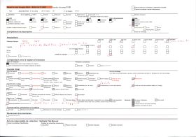 Image représentant Culture en terrasses face à la vallée du Paillon ?