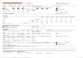 Image représentant Le carnaval, la fête des fleurs