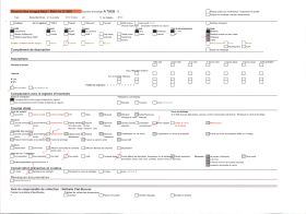 Image représentant Le public privilégié assistant au défilé du carnaval