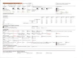 Image représentant Le public privilégié assistant au défilé du carnaval