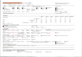 Image représentant Le public privilégié assistant au défilé du carnaval