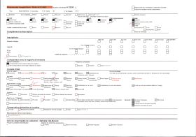 Image représentant Le carnaval