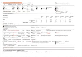 Image représentant Le carnaval