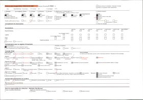 Image représentant La foule assistant au carnaval