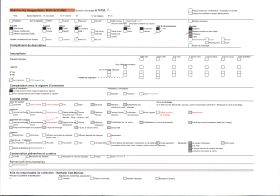 Image représentant Cultures en terrasse dans la vallée du Loup