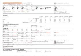 Image représentant Cascade du saut du Loup