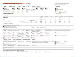 Image représentant Pont du jardin de la villa Cypris, vu en direction de Monaco