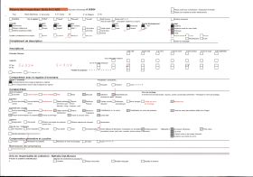 Image représentant Grand escalier du jardin de la villa Cypris orné d'une cascade de fleurs bleues
