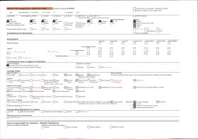 Image représentant Eléments sculptés du jardin de la villa Cypris situés en lisière de pinède et de propriété