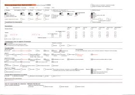Image représentant Les bords du Loup
