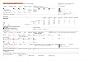 Image représentant Le carnaval, thème le pêcheur Niçois berné