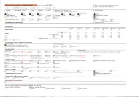 Image représentant Le carnaval, thème le pêcheur Niçois berné