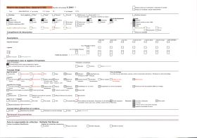 Image représentant Le carnaval, thème le pêcheur Niçois berné