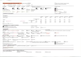 Image représentant Végétation se découpant à contre-jour dans le coucher de soleil, vue en direction de Monaco