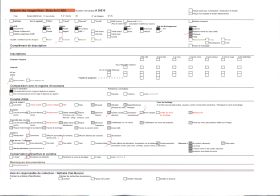 Image représentant La foule sur la promenade du Midi, en hiver