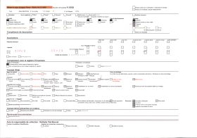 Image représentant Forêt d'oliviers