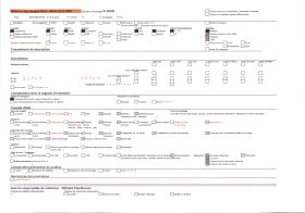Image représentant Forêt d'oliviers