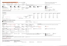 Image représentant Forêt d'oliviers
