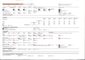 Image représentant La chaîne des Pyrénées, au milieu, le mont Vallier et au premier plan le château des Espas