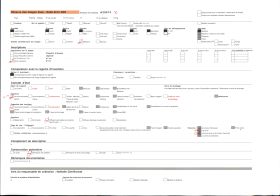 Image représentant Grotte de Niaux : le bison avec le signe rouge