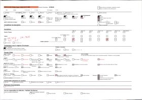 Image représentant Collier de dents et propulseur