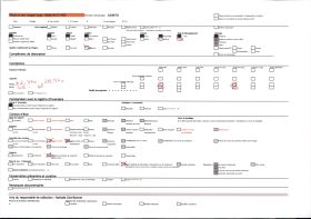 Image représentant Silex des grottes des Trois-Frères et du Tuc d'Audoubert