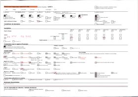 Image représentant Crâne de panthère vu de profil