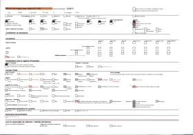 Image représentant Crâne de panthère vu de profil
