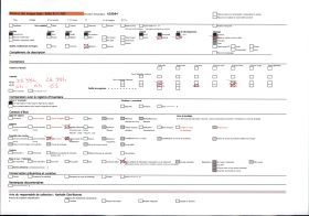 Image représentant Un pommier chez monsieur Begouën