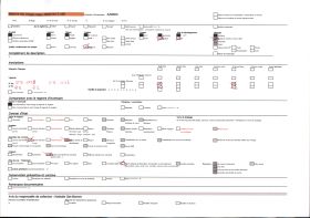 Image représentant Femme Bethmalaise