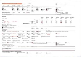 Image représentant La grotte des Trois-Frères : le sorcier