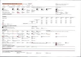 Image représentant La grotte des Trois-Frères : le cheval