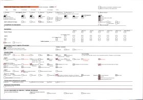 Image représentant La grotte des Trois-Frères : le bison