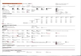 Image représentant La grotte des Trois-Frères : le bouquetin
