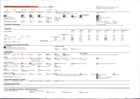Image représentant La grotte des Trois-Frères : le signe rouge