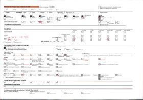 Image représentant La grotte des Trois-Frères : les chouettes