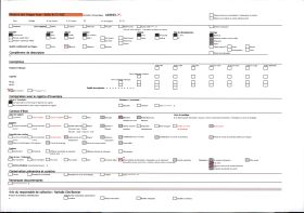 Image représentant La grotte des Trois-Frères : l'hémione
