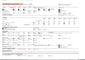 Image représentant La grotte du Tuc d'Audoubert : les bisons