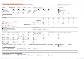 Image représentant La grotte du Tuc d'Audoubert : les bisons